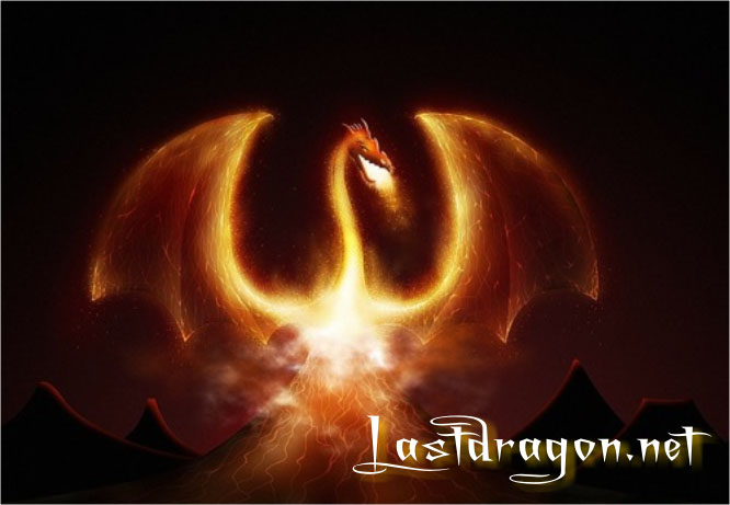 Last Dragon Logo